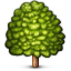 deciduous_tree